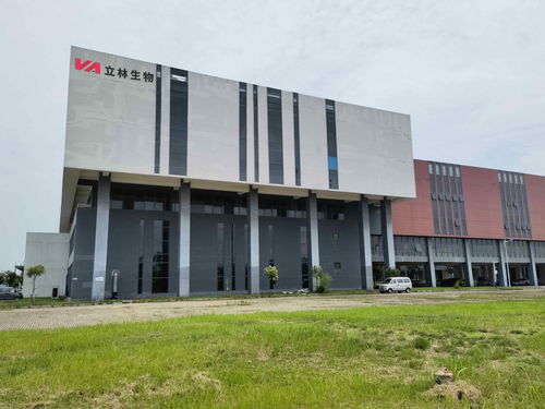 雙品牌戰略驅動，雙廠布局夯實根基 蓋夫內外貿并舉，技術開發引領全球化新篇章