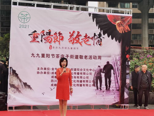 茶店子街道重陽(yáng)敬老暖人心 文化盛宴促交流